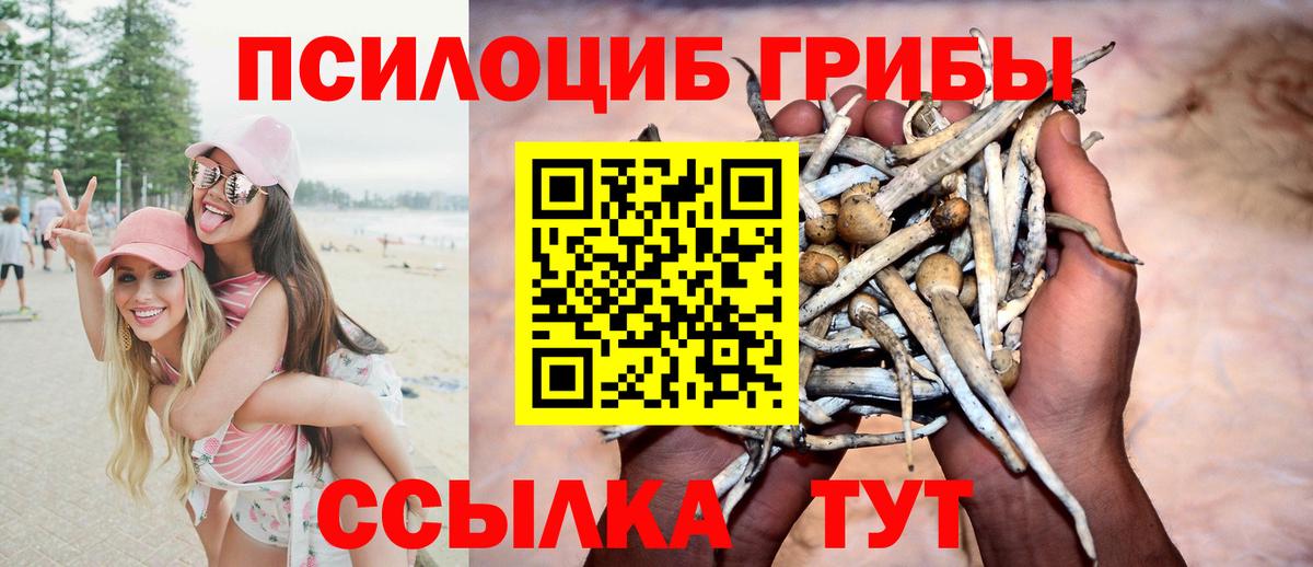 Галлюциногенные грибы мицелий  Вход с VPN  Псилоцибиновые грибы MAGIC MUSHROOMS  цена   Зеленокумск 